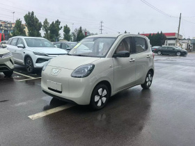 五菱汽车 宏光MINIEV 2025款 四门版 进阶款