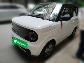 吉利银河 2024款 熊猫mini 200km 耐力熊