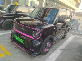 吉利银河 2025款 210km 熊猫卡丁