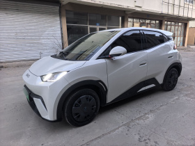 比亚迪 海鸥 2025款 305km 活力版