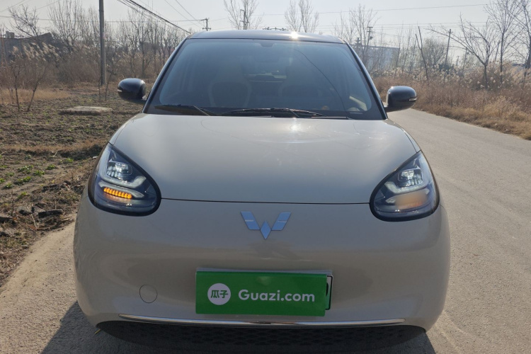 五菱汽车 五菱缤果 2024款 333km 悦享款车身外观2