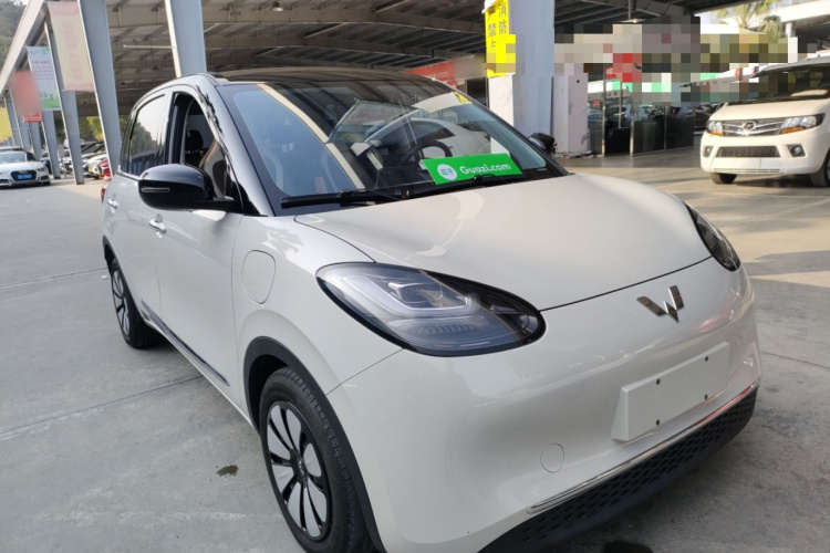 五菱汽车 五菱缤果 2023款 333km 灵犀互联+款车身外观3