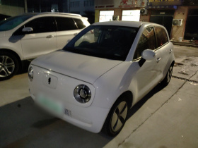 欧拉黑猫 2021款 301km 基础型