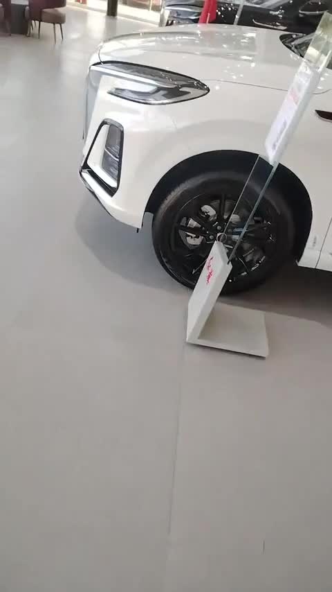 红旗E-HS9 2022款 660km 旗畅版 六座讲解2