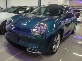 欧拉好猫 2021款 400km标准续航 维纳斯版 磷酸铁锂