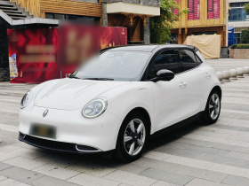 欧拉好猫 2021款 400km标准续航 雅典娜版 磷酸铁锂