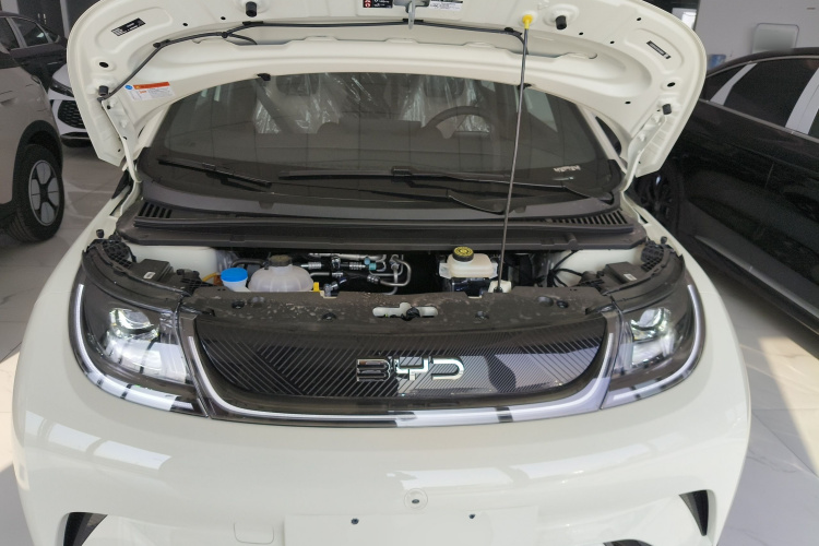 比亚迪 海豚 2025款 420km 自由版机舱底盘24