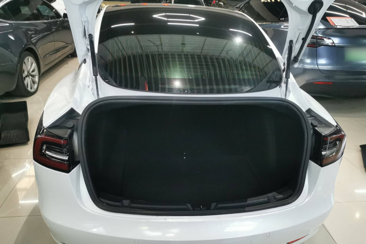 特斯拉 Model 3(进口) 2019款 长续航全轮驱动版局部细节23