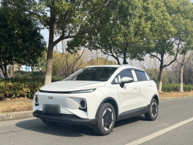 吉利几何E萤火虫 2024款 301km 流光