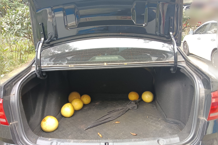 大众 朗逸 2017款 1.6L 手动风尚版中控内饰23