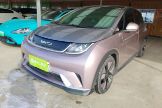 比亚迪 海豚 2021款 401km 骑士版