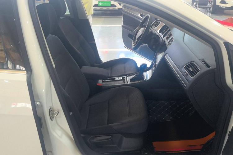 大众 高尔夫 2016款 1.6L 自动舒适型局部细节41