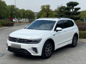 大众 途观L新能源 2019款 430PHEV 混动旗舰版