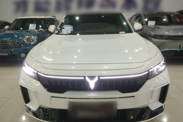 岚图汽车 岚图FREE 2024款 超长续航智驾版车身外观2