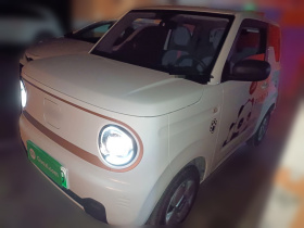 吉利银河 2023款 熊猫mini 200km 耐力熊