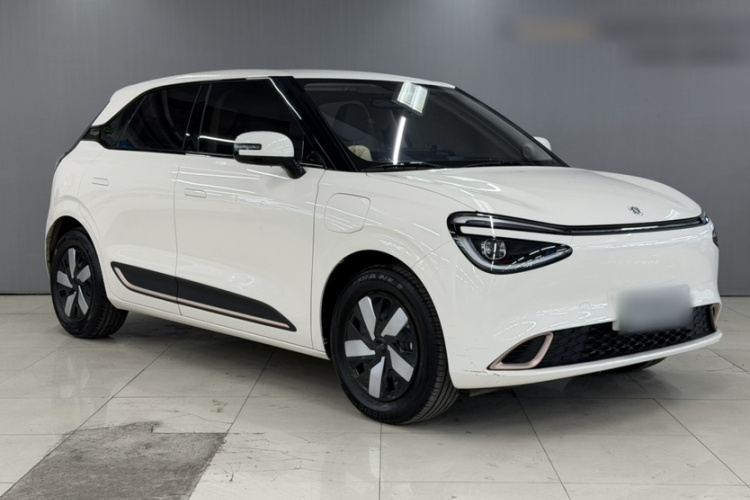 东风纳米 纳米01 2024款 430 Air车身外观6002