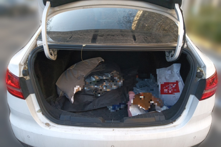 福特 福睿斯 2019款 改款 1.5L 自动悦享型 国VI中控内饰23