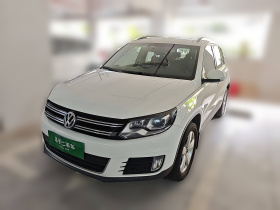 大众 途观 2013款 1.8TSI 自动两驱舒适版