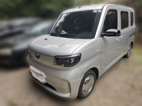 五菱汽车 五菱之光新能源 2025款 201km 标准型