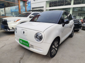 欧拉黑猫 2021款 351km 标准型