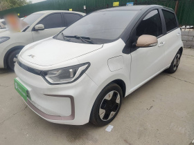 江淮钇为 钇为花仙子 2024款 挚爱版 301km Lite