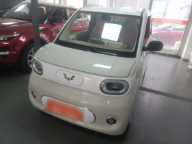 五菱汽车 宏光MINIEV 2024款 第三代 215km 进阶版