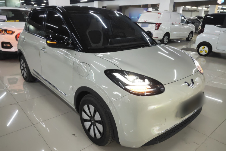 五菱汽车 五菱缤果 2024款 410km 灵犀尊享款车身外观6002