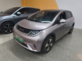 比亚迪 海豚 2023款 420km 时尚版