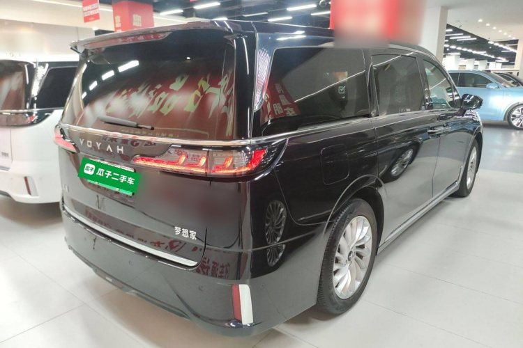 岚图汽车 岚图梦想家 2022款 低碳版 想+智驾包车身外观6005