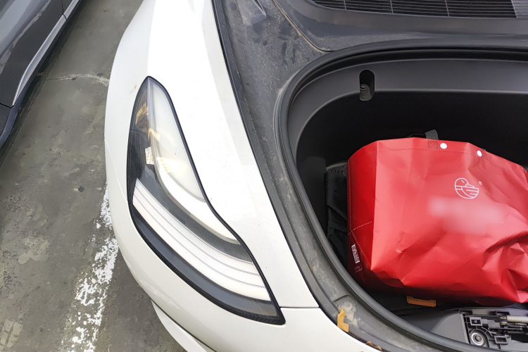 特斯拉 Model 3 2019款 标准续航后驱升级版局部细节9006