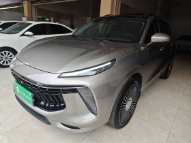 东风风行 风行T5 EVO 2021款 1.5TD DCT钻石版