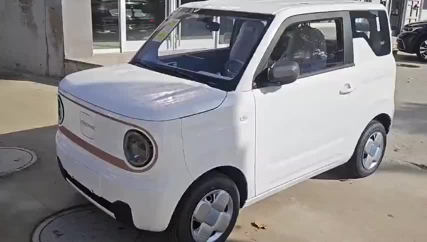 吉利银河 2024款 熊猫mini 200km 耐力熊实拍1