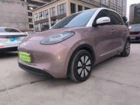 五菱汽车 五菱缤果 2023款 333km 灵犀互联+款