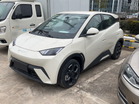 比亚迪 海鸥 2025款 305km 自由版