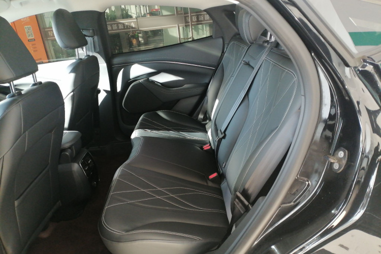 福特电马 2021款 跃世后驱版(标准续航)中控内饰21