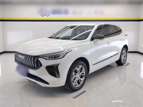 哈弗赤兔 2023款 1.5T 卓越型