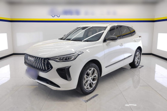 哈弗赤兔 2023款 1.5T 卓越型