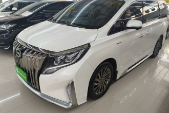 广汽传祺 传祺M8 2021款 大师系列 390T 至尊版