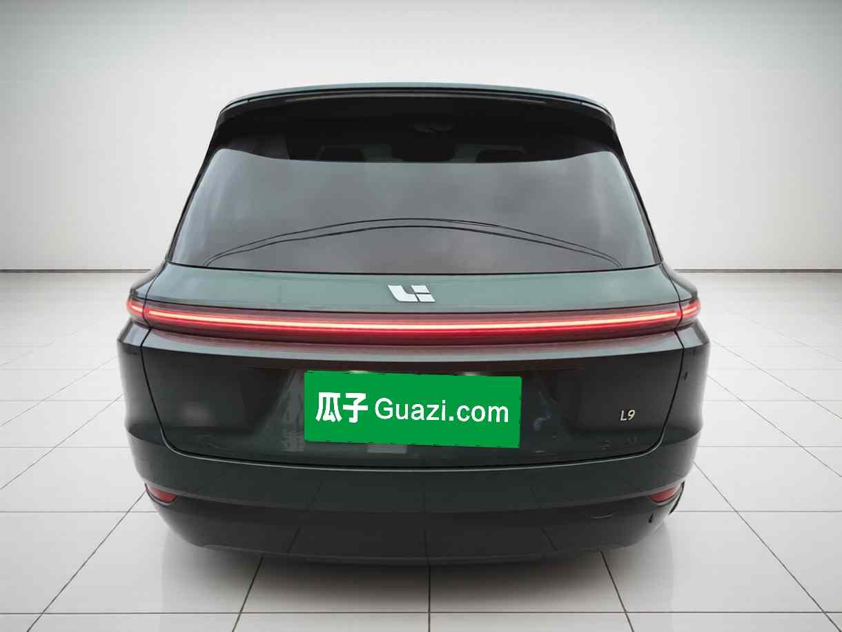 理想汽车 理想L9 2024款 Ultra(4)