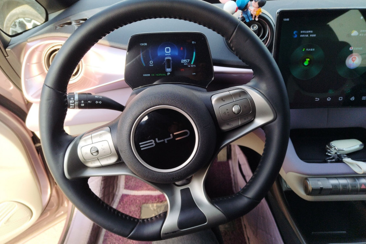 比亚迪 海豚 2023款 420km 时尚版中控内饰13