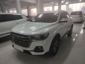 哈弗H6 2021款 国潮版 1.5GDIT 自动冠军版