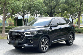 哈弗H6 2023款 国潮版 1.5T 自动冠军版