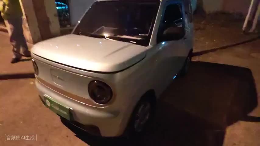 吉利银河 2024款 熊猫mini 200km 龙腾版检测视频1