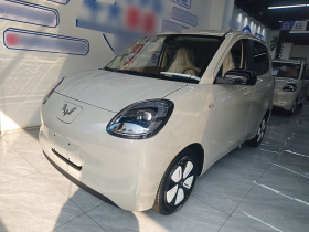 五菱汽车 宏光MINIEV 2025款 四门版 进阶款