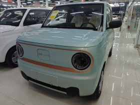 吉利银河 2024款 熊猫mini 200km 耐力熊