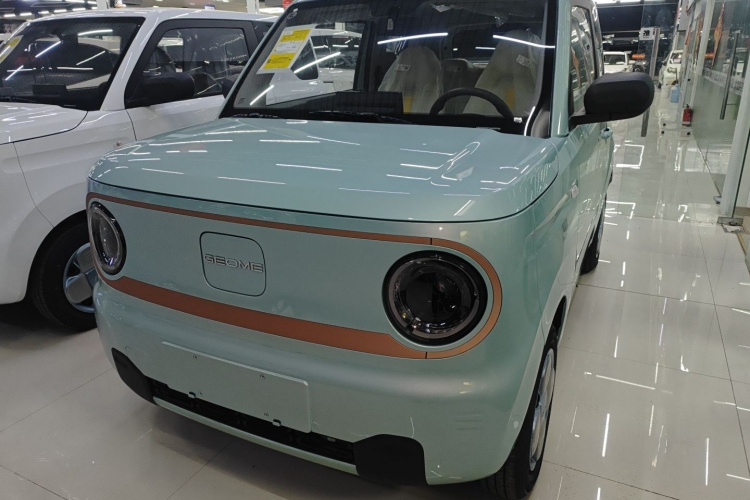 吉利银河 2024款 熊猫mini 200km 耐力熊车身外观1