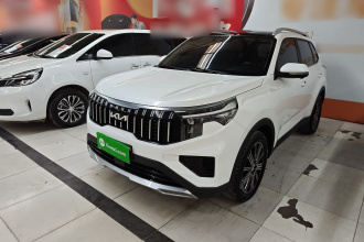 起亚 智跑 2021款 Ace 2.0L 精彩版