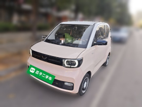 五菱汽车 宏光MINIEV 2022款 自在款 磷酸铁锂