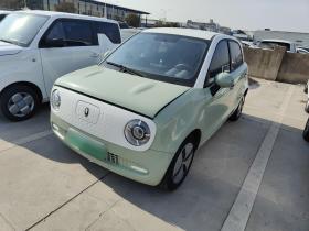 欧拉黑猫 2022款 301km 萌动型 磷酸铁锂