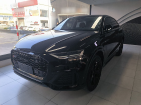 奥迪Q8 2019款 45 TFSI 豪华致雅型